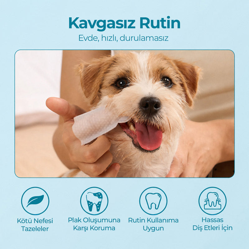 FreshWipes | Ağız Kokusu ve Plak Oluşumuna Karşı | Parmak Mendili | Kedi ve Köpek görsel 2