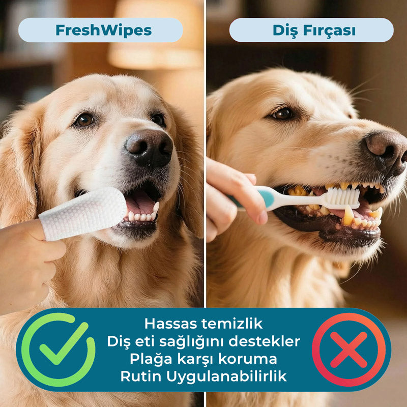 FreshWipes | Ağız Kokusu ve Plak Oluşumuna Karşı | Parmak Mendili | Kedi ve Köpek görsel 6