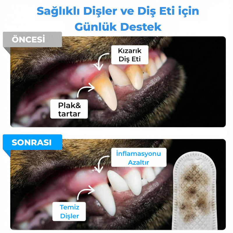 FreshWipes | Ağız Kokusu ve Plak Oluşumuna Karşı | Parmak Mendili | Kedi ve Köpek görsel 7