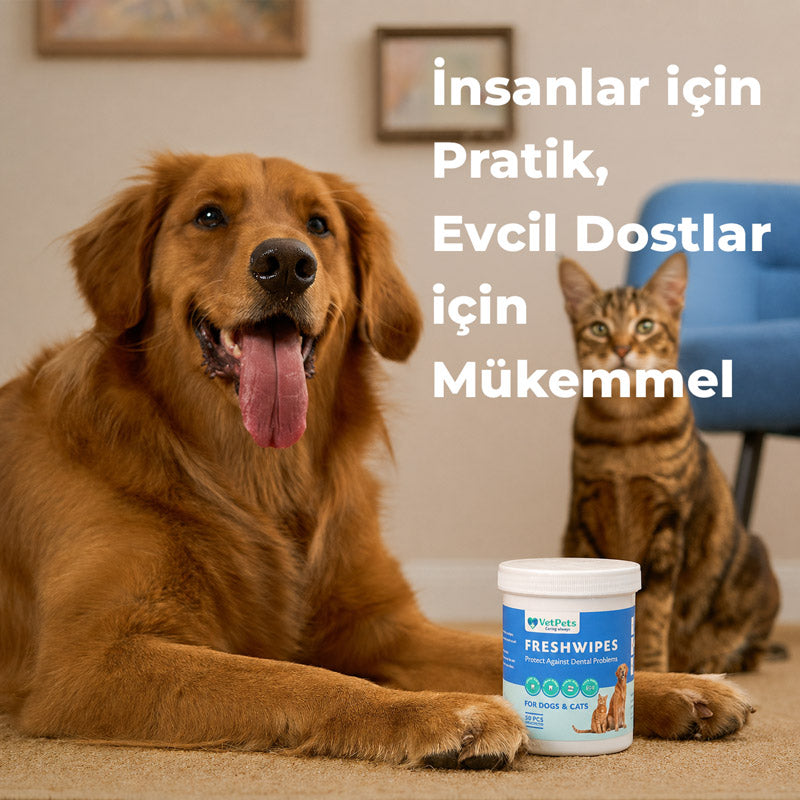 FreshWipes | Ağız Kokusu ve Plak Oluşumuna Karşı | Parmak Mendili | Kedi ve Köpek görsel 9